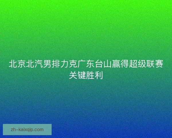 北京北汽男排力克广东台山赢得超级联赛关键胜利